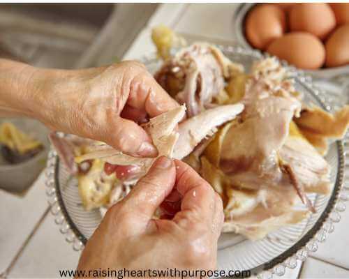 Shredded-Chicken-or-Turkey: