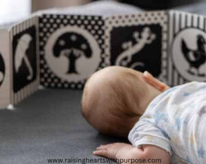 A-Baby's-First-Library