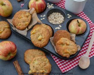 Apple-Cinnamon-Comfort-Oat
